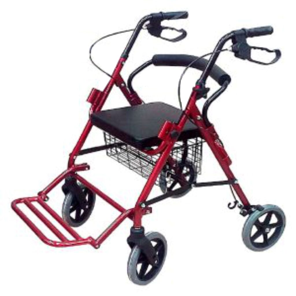 Andador y silla de ruedas Plus (FY9651L - BT805L)